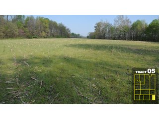 Property photo 29 - Land Auction 1035 Acres In 16 tracts - Farm Land - Sullivan Co. Indiana & Clark Co., Illinois
